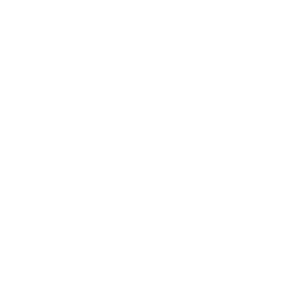 Ford Driving Skills for Life – Reduce TN Crashes